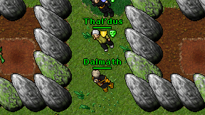 Dalmath on screen