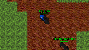 Kujuv on screen