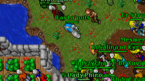 Rasta'puls on screen