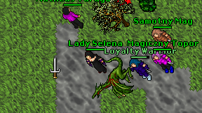 Lady Selena on screen