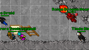 Fruvo Druid on screen