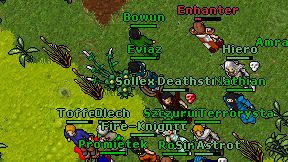 Eviaz on screen