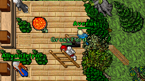 Grass Fard on screen