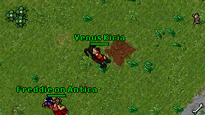 Venus Kicia on screen