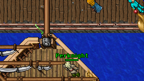 Perknight on screen