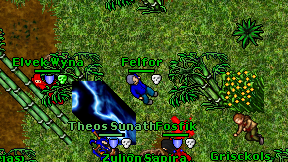 Felfor on screen