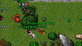 Princess Of Cid on screen
