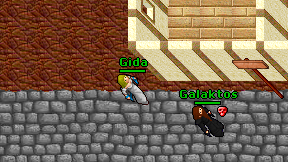 Gida on screen