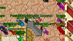 Admirabilis Angelus on screen