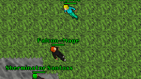 Falcon-Mage on screen