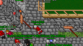 Neodin on screen