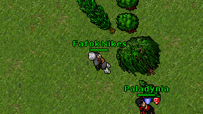 Fafok Nikes on screen