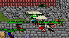 Fladir Nadon on screen
