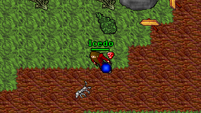 Icedo on screen