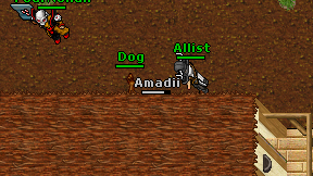 Amadii on screen