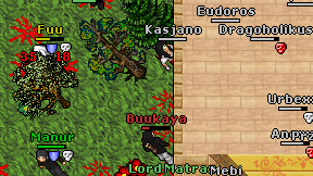Buukaya on screen