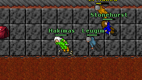 Hakimas on screen