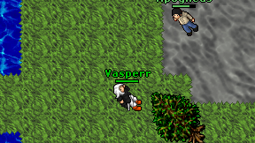 Vasperr on screen