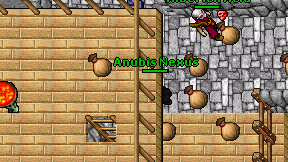 Anubis Nexus on screen