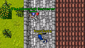 Yuni Sata on screen