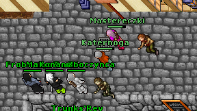 Katernoga on screen