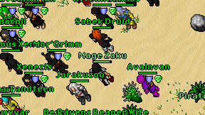 Mage Zaku on screen