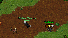 Elder Xerus on screen