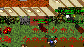 Sebridien on screen
