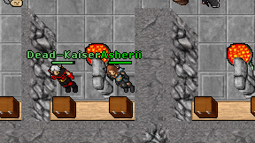 Asherii on screen