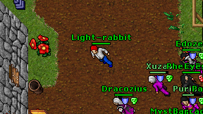 Light-rabbit on screen