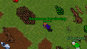 Shadown Devilwing on screen