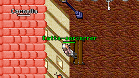 Katta-sorcerrer on screen