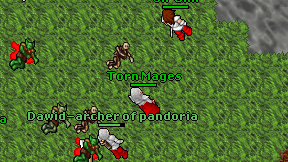 Torn Mages on screen
