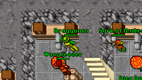 Draggonso on screen