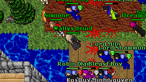 Wallys druid on screen
