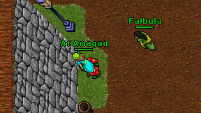 Af Amagad on screen