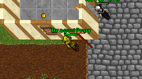 Dragon Proy on screen