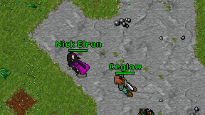 Nick Elron on screen