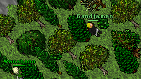 Gandja men on screen