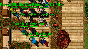 Gajegos on screen