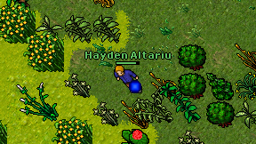 Hayden Altariu on screen