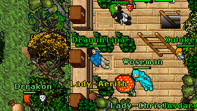 Dragon Lipa on screen
