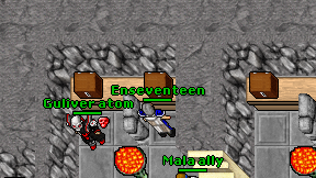 Enseventeen on screen