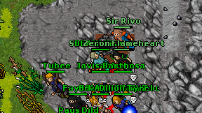 Nitdz on screen