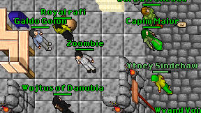 Zoombie on screen