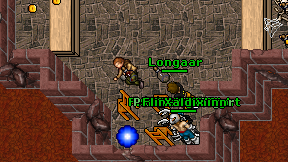 Longaar on screen
