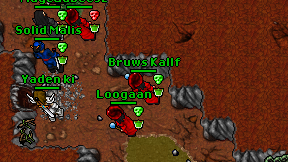 Bruws Kallf on screen