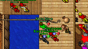 Skin Sire on screen