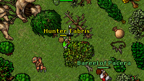 Hunter Tabris on screen