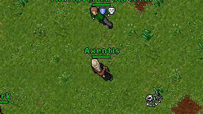 Axentis on screen